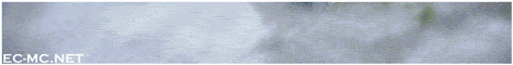 banner for Elitecraft Survival Community server