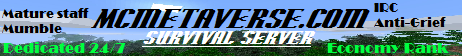 banner for The Metaverse server