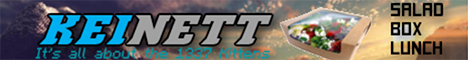 banner for KeiNett Gaming server