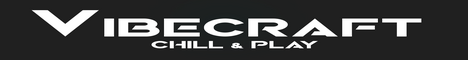 banner for VibeCraft server