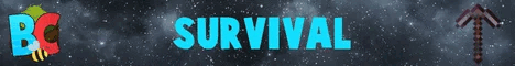 banner for Binstercraft server