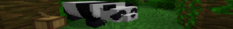 banner for Craftily.net server