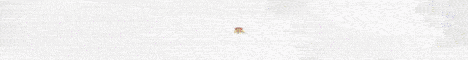 banner for Empire Legacy server