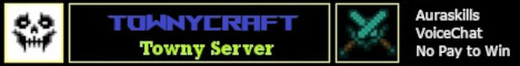 banner for TownyCraft server