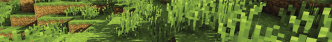 banner for IronCraft: PvP server