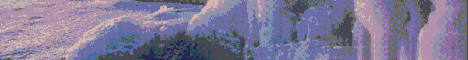 banner for ColdSMP server