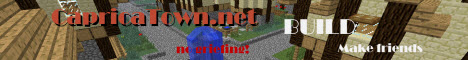 banner for CapricaTown.net server