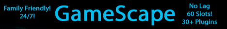 banner for GameScape server