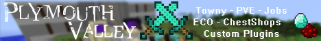 banner for Plymouth Valley server