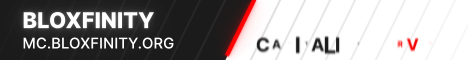 banner for Bloxfinity server