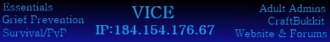 banner for VICE server