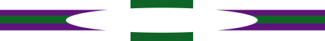 banner for The Lands of Lin server