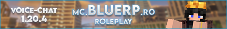 banner for BlueRP server