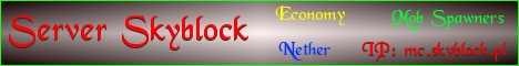 banner for Skyblock server
