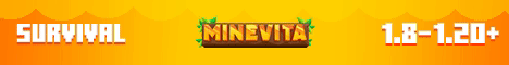 banner for Minevita server