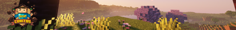 banner for Cubitos server