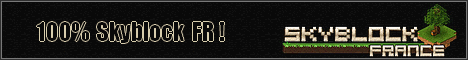 banner for Skyblock-France server