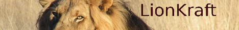 banner for Lionkraft server