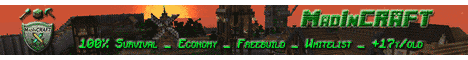 banner for MadInCRAFT server