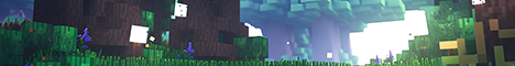 banner for Big Bean Burrito server
