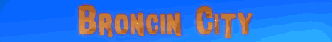 banner for Broncin server