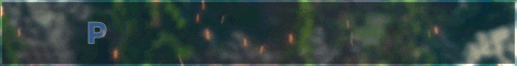 banner for PURLZ SMP server