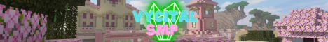 banner for Vycital SMP server