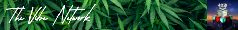 banner for The Vibe Network server
