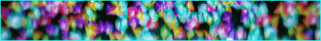 banner for PangMC server