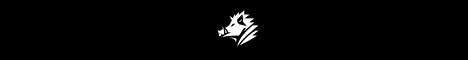 banner for GANGUI server