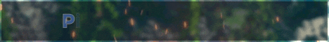 banner for Pixel Pouch Network server