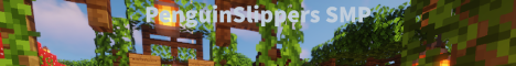 banner for PenguinCraftSMP server