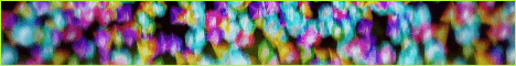 banner for LushSMP server