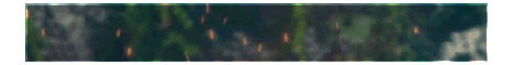 banner for Ultimate Survival server