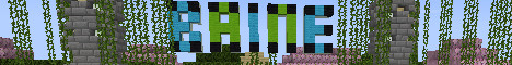 banner for Baine SMP server