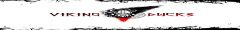 banner for VikingLand server