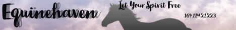 banner for Equinehaven server