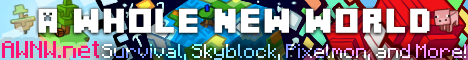 banner for A Whole New World server