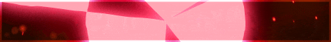 banner for 2B4U server