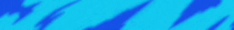 banner for Voyage Network server