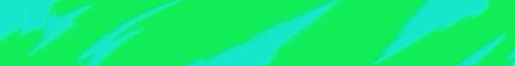 banner for ZyraSMP server