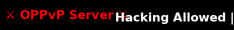 banner for mcpvpserver server