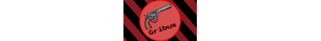 banner for GribusMC server