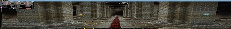 banner for SURVIVAL server