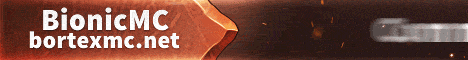 banner for BortexMC server