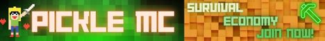 banner for PickleMC server
