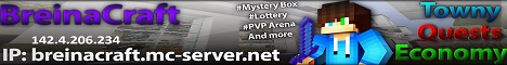 banner for BreinaCraft server
