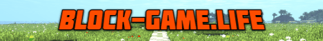 banner for Block Game Life SMP server
