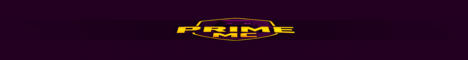 banner for PrimeMC server