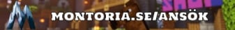 banner for Montoria SMP server